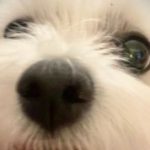 Profile picture of Bea