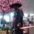 Profile picture of Hiroshi